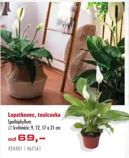 Uni Hobby Lopatkovec, toulcovka nabídka