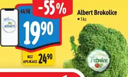 Albert Albert Brokolice nabídka