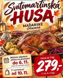 ZEMAN Svatomartinská husa nabídka