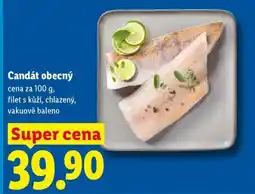 Lidl Candát obecný nabídka