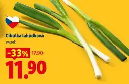 Lidl CIBULKA LAHŮDKOVÁ nabídka