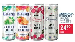 Makro AMUNDSEN 4,5 %, DYNYBYL 4,5 % nabídka