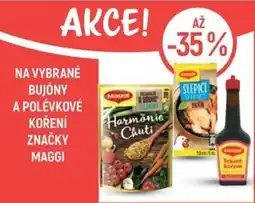 Globus Maggi bujóny a polévkové koření nabídka