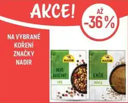 Globus Nadir koření nabídka