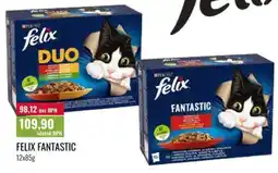 Ratio Felix fantastic nabídka