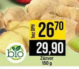 Jip Zázvor nabídka