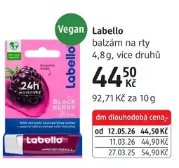dm drogerie Labello balzám na rty nabídka
