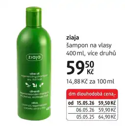 dm drogerie Ziaja šampon na vlasy nabídka