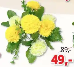 PRIOR kvetiny nabídka