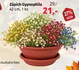 PRIOR Zápich Gypsophila nabídka