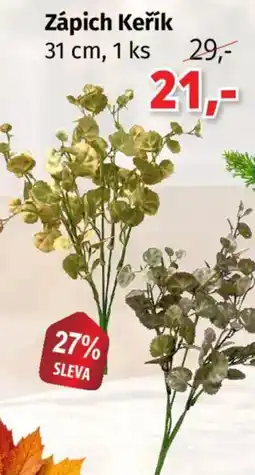 PRIOR Zápich Keřík nabídka