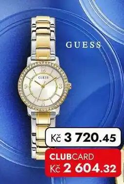TRAVEL FREE GUESS nabídka