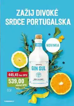 Ratio GIN SUL nabídka