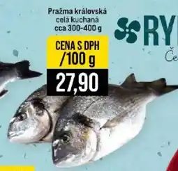 Jip Rybník Pražma královská nabídka