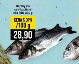 Jip Mořský vlk nabídka