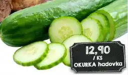 Jip Okurka hadovka nabídka