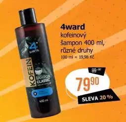 Teta 4ward kofeinový šampon nabídka