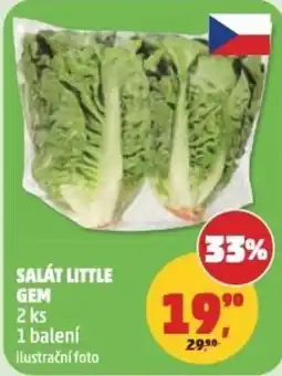 Penny Market Salát little gem nabídka