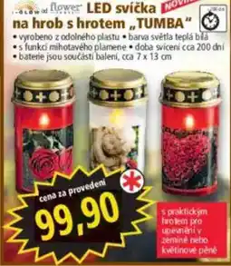 Norma flower LED svíčka na hrob s hrotem "TUMBA" nabídka