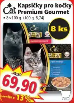 Norma Cat Kapsičky pro kočky Premium Gourmet nabídka