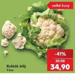 Kaufland Květák bílý nabídka
