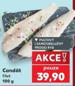 Kaufland Candát filet nabídka