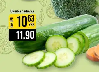 Jip Okurka hadovka nabídka