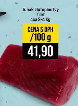 Jip Tuňák žlutoploutvý nabídka