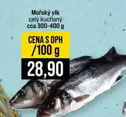 Jip Mořský vlk nabídka