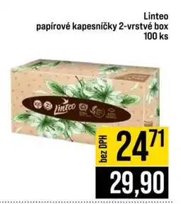 Jip Linteo papírové kapesníčky 2-vrstvé box 100 ks nabídka