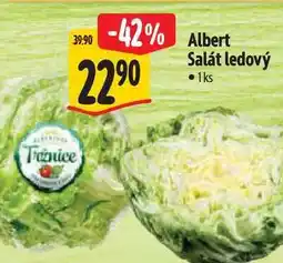 Albert Albert Salát ledový 1ks nabídka