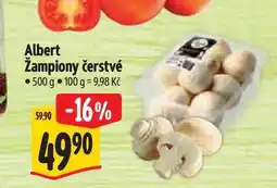 Albert Albert Žampiony čerstvé nabídka