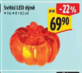 Albert Svítící LED dýně 1ks nabídka