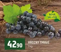 Terno Hrozny tmavé nabídka
