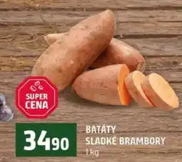 Terno BATÁTY – SLADKÉ BRAMBORY nabídka