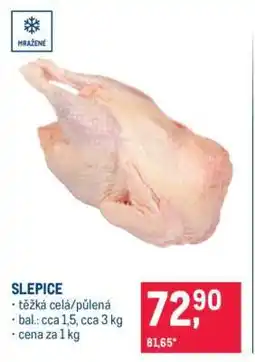 Makro Slepice nabídka