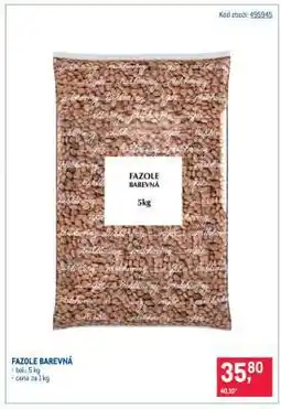 Makro Fazole barevná nabídka