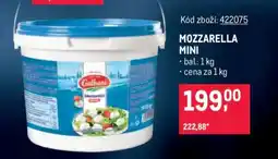 Makro Mozzarella mini nabídka