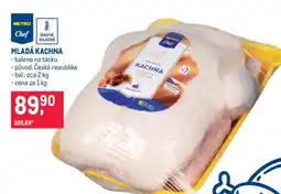 Makro MLADÁ KACHNA nabídka