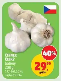Penny Market ČESNEK ČESKÝ nabídka