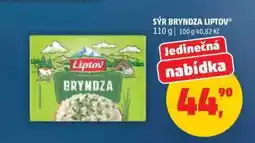 Penny Market SÝR BRYNDZA LIPTOV nabídka