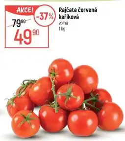 Globus Rajčata červená keříková nabídka