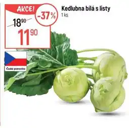 Globus Kedlubna bílá s listy nabídka