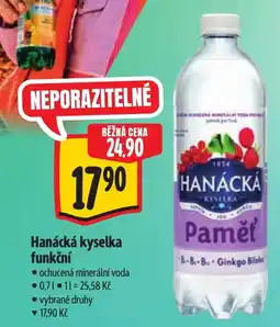 Albert Hanácká kyselka funkční nabídka