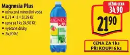 Albert Magnesia Plus ochucená minerální voda nabídka
