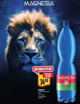 Albert Magnesia nabídka