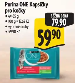 Albert Purina ONE Kapsičky pro kočky nabídka