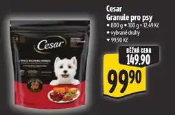 Albert Cesar Granule pro psy nabídka
