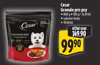 Albert Cesar Granule pro psy nabídka