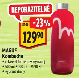 Albert Magu kombucha nabídka